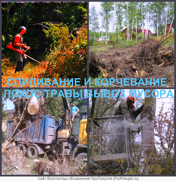 Земляные работы и благоустройство Воронеж