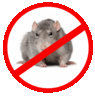 Истребление крыс в Воронеже и области