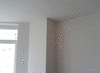 Выравнивание стен и потолка (штукатурка.шпаклевка)