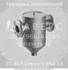 Грязевик ТС-569.00.000-09 абонентский Ду 50