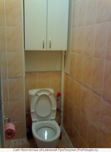 Ремонт туалетов