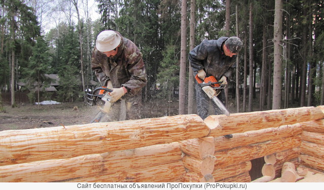 Строительство деревянных домов. Мастерами из Архангельска