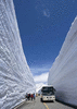 Уборка снега с крыш и территорий