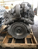 Двигатель ТМЗ 8486.10-03 (360 л.с.) для трубоукладчика Komatsu D355C