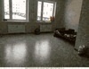 новая двух комнатная квартира в Гатчине
