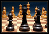 Шахматные занятия онлайн