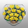 Герметичные вазы с натуральными орхидеями желтыми