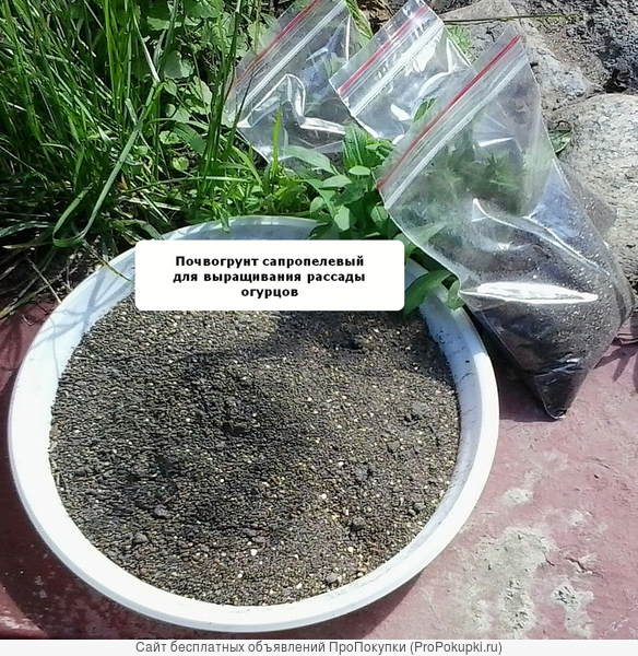 Производство сапропелевых почвогрунтов для выращивания рассады