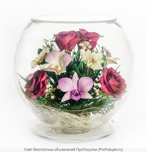 Живые розы , орхидеи , герберы стабилизированные в вакууме