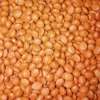 Мастербатч оранжевый (Polycolor orange 04012)