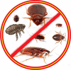 Уничтожение тараканов, клопов, блох и др