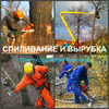 Спилить дерево в Воронеже