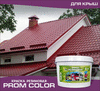 Краска резиновая для крыши PromColor