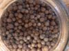 Кориандр - семена кинзы - продам