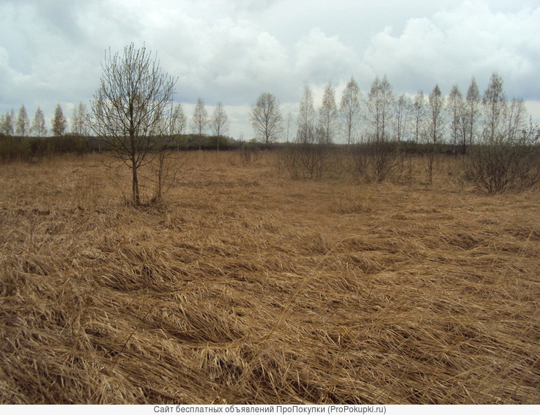 Продам земельный участок в Тверской области
