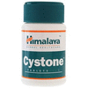 Цистон (Cystone, Himalaya) 60 табл