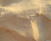 Речной песок (в мешках 50 кг)