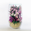 Живые орхидеи в вакууме в вазах из стекла для интерьера