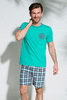 Мужская футболка и клетчатые шорты Szymon зеленый