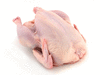Парное мясо домашней птицы